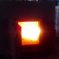 pet cremations equipment china pig 50 incinerator, infectious+animal+cremator