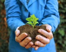 Regenerative organic agriculture could alleviate–or even reverse–the effects of climate change. Regenerative organic agriculture could alleviate–or even reverse–the effects of climate change.