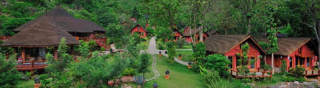 China Incinerator China Incinerator