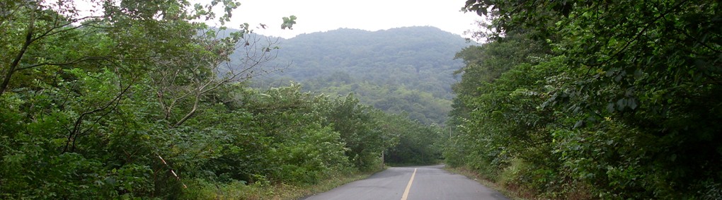 Waste Incinerator Waste Incinerator