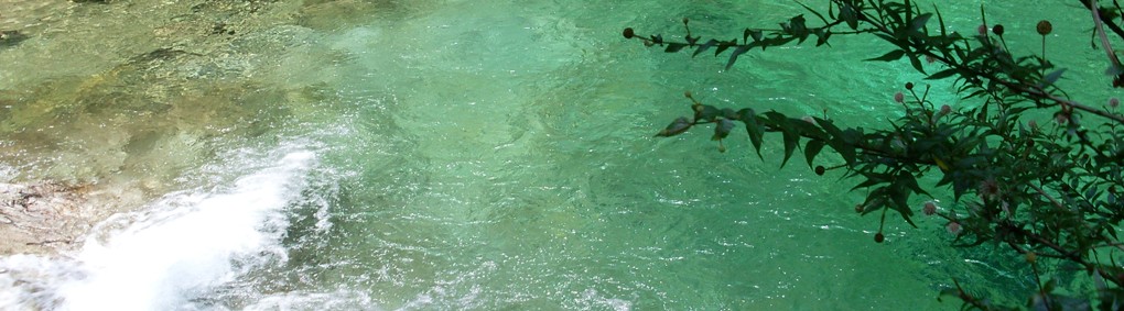 Hospital Incinerator Hospital Incinerator