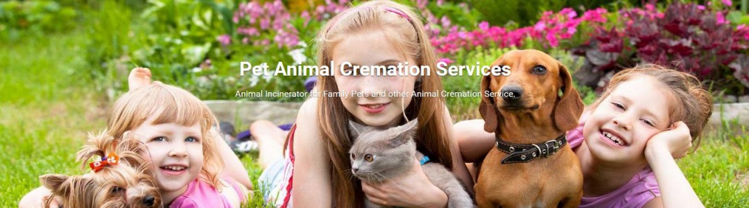 small scale medical incinerator small scale medical incinerator